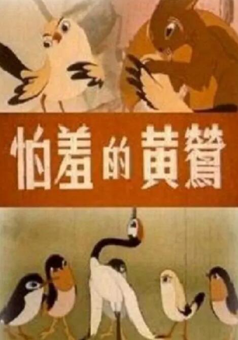 高清视频一区二区