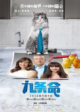 《她的丰满》在线观看