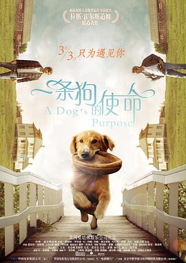 91免费高清无砖码区
