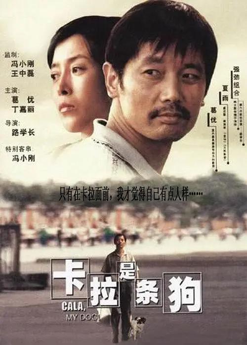 樱花小猫的视频大全