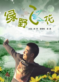 妻子的101婚姻